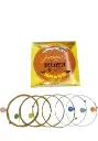 Passion Acoustic Guitar Strings Set