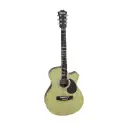 Professional Acoustic Guitar