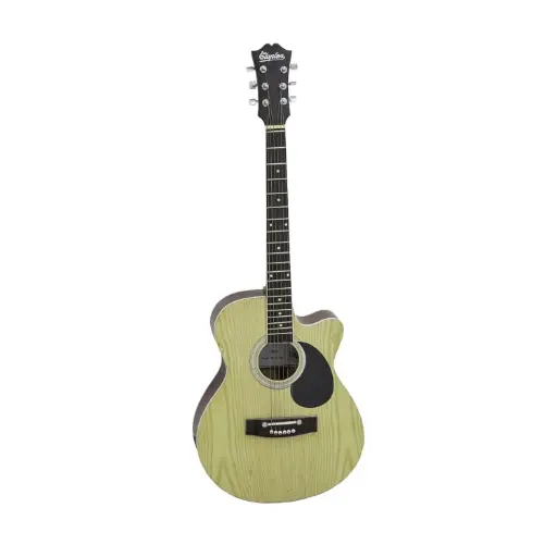 Professional Acoustic Guitar